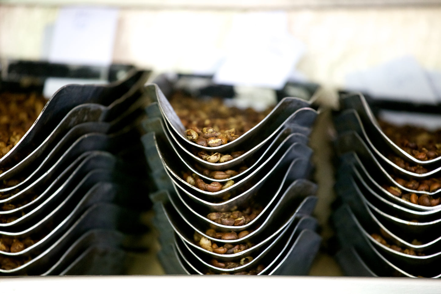 KENYA NGUNGURU